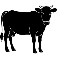 The Beauty of Black and White Cows,Discovering the Charm of Black and White Cows'Black and White Cows,Exploring the World of Black and White Cows,Why Black and White Cows are the Stars of the Farm