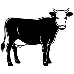 The Beauty of Black and White Cows,Discovering the Charm of Black and White Cows'Black and White Cows,Exploring the World of Black and White Cows,Why Black and White Cows are the Stars of the Farm