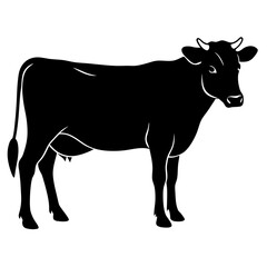 The Beauty of Black and White Cows,Discovering the Charm of Black and White Cows'Black and White Cows,Exploring the World of Black and White Cows,Why Black and White Cows are the Stars of the Farm