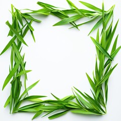 Naklejka premium Green leaves frame