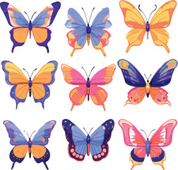 A collection of butterflies with different colors and colors for sale. picture of butterfly and flowers with a background of butterfly's.