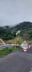 road to the mountains