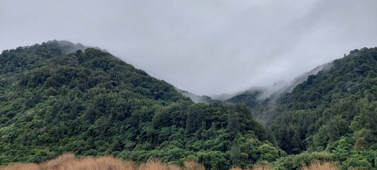 landscape with fog
