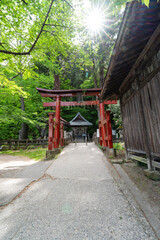 飯盛山の鳥居と厳島神社