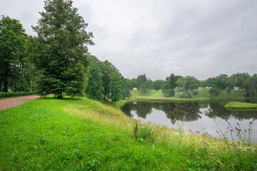 A park with a pond and a tree
