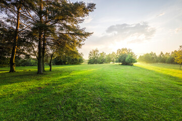 A large, open field with trees in the background