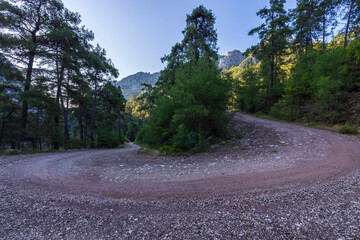 A dirt road with trees in the background