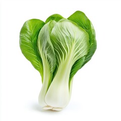 Fresh bok choy isolated on a white background.