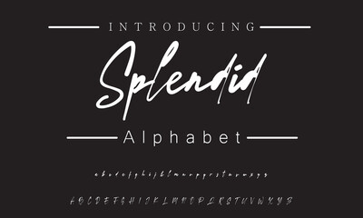 Obraz premium Chic Minimalist Signature Font for Invitations, Business Cards, and Fashion Marketing