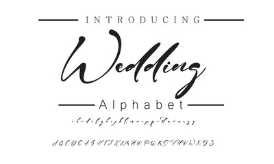 Modern Handwritten Signature Font for High-End Branding, Social Media Graphics, and Business Logos