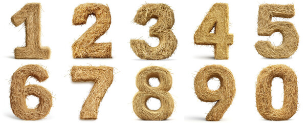 set of dry grass hay numbers: 1, 2, 3, 4, 5, 6, 7, 8, 9, 0. isolated on white background