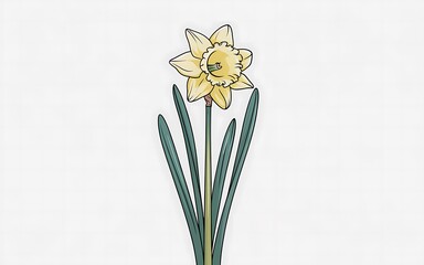 A single yellow daffodil with green leaves against a white background.
