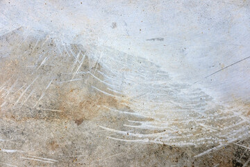grass in the snow