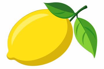 Lemon with leaf. yellow lemon fruit with leaf with white background vector art illustration