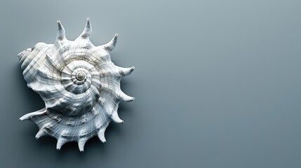 Obraz premium Nautilus shell highlighted in an abstract setting, showcasing its detailed spiral. The shell's geometric design is a beautiful display of marine life and nature.