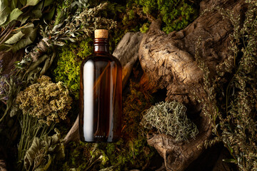 Vintage bottles with tinctures and various dried herbs.