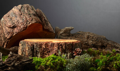 Composition with natural wood, moss and lichen for advertising eco products.