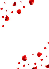 Realistic red rose petals flying around isolated