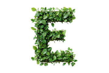 Letter E with Lush Tropical Leaves and Botanical Typography, Nature-Inspired Alphabet Design on Transparent Background, Perfect for Eco-Friendly and Tropical Themes