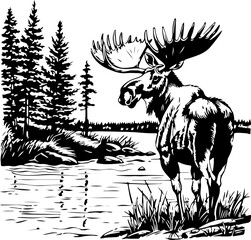 moose deer in wild, vector design, isolated background, hand drawn illustration style