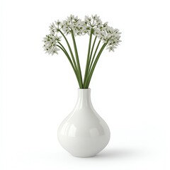 White Flowers in a White Vase Isolated on White Background