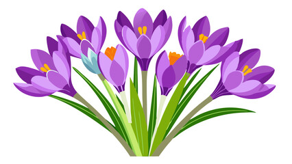 crocuses isolated on white, Illustration of Crocus Flower, Vibrant Crocus Vector Illustration - Delicate Purple Petals with a Bright Yellow Center, Perfect for Early Spring Garden Themes