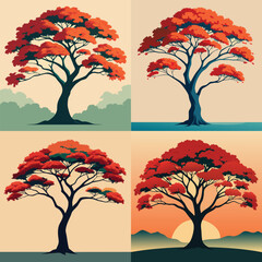 Delonix regia tree illustration