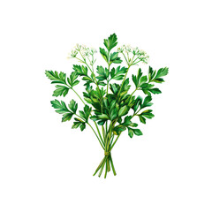 Obraz premium A bouquet of fresh pink and white flowers with green leaves and stems isolated on a white background