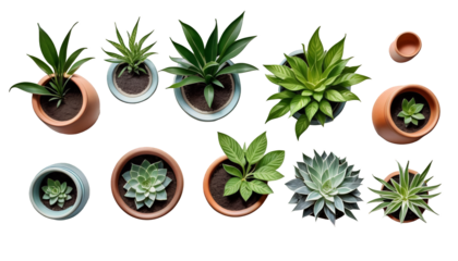  cute illustrations drawn hand pots watercolor plants white decoration watercolor isolated pot green flowerpot illustration garden paint vase background plant gardening set nature potted flora spring