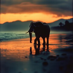 Elephant strolling on a tranquil beach, ocean waves gently lapping the shore.