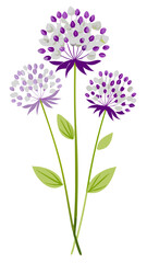 Illustration of Allium Flower, Stunning Allium Flower Vector Illustration - Exquisite White Globe with Radiating Petals, Perfect for Landscaping and Decorative Themes
