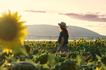 Fototapeta premium A smiling middle-aged woman standing in a sunflower field at sunset. The individual is wearing a hat and has long hair