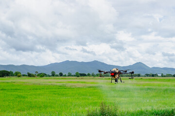 Modern technologies in agriculture. An industrial drone flies over a green field and sprays useful pesticides to increase productivity and destroys harmful insects. increase productivity