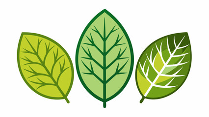 Set of Leaves Icons Isolated on White Background