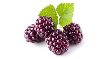 Fresh Ripe Blackberries with Green Leaves Isolated on White Background