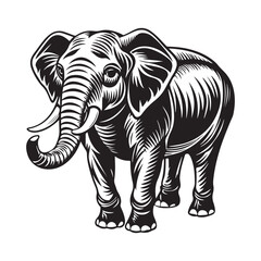 Best Elephant Vector Art for Designers.