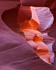 The play of light and shades gives rise to freakish associations.