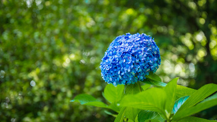 Parco Stresa (2024-09)