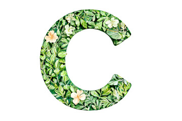 Elegant Floral Letter C with Botanical Elements and Vibrant Flowers - Creative Typography Illustration on Transparent Background for Decorative Alphabet Art