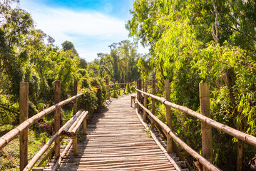 Naklejka premium Wooden bridge in Vietnam among green tropical plants