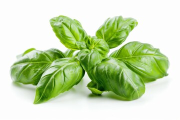 Fototapeta premium A fresh Basil and Basil Power isolated on white