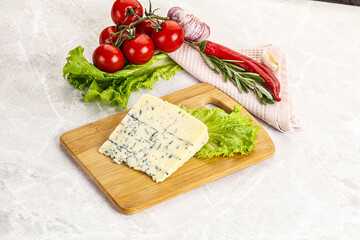 Gourmet blue cheese with mold