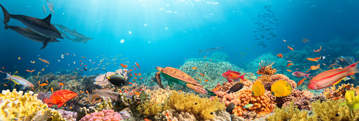 Underwater Tropical Corals Reef with colorful sea fish. Marine life sea world. Tropical colourful...