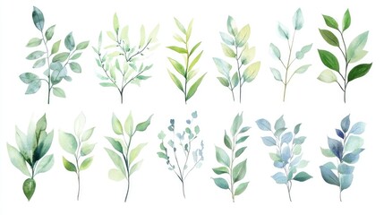 Creative set of watercolor foliage plants, each cut out with thin frames for seamless integration into designs, set against a bright white backdrop