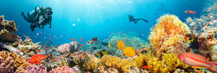 Scuba Diver Swimming in Deep Sea with Sunrays and Beautiful Coral Reef with Colorful Fishes