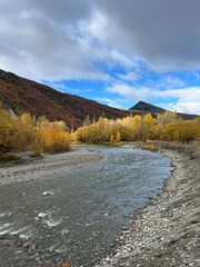 Arrowtown, South Island of New Zealand