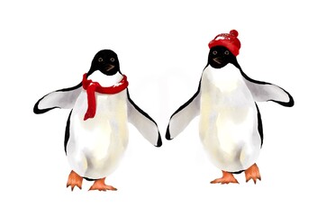two penguins with a heart Christmas Hand drawn illustration on a transparent background