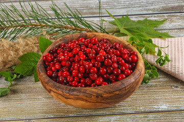 Natural organic wild forwst lingonberry
