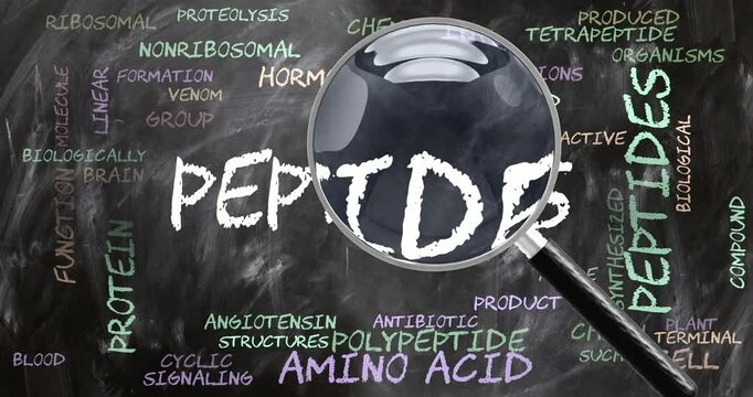 Peptides being studied, examined - under close inspection. Most important subjects and ideas closely related to peptides. Can be looped