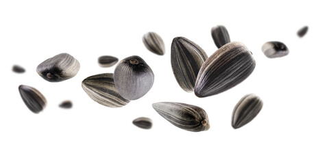 Black unshelled sunflower seeds form an abstract figure in space. Isolated on white. Volumetric rear light